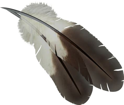 Transparent feather